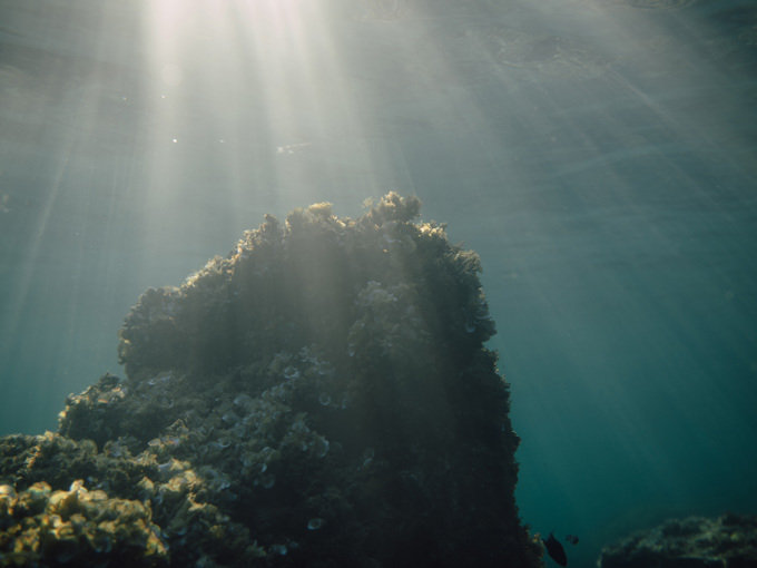 Korallrev under vann