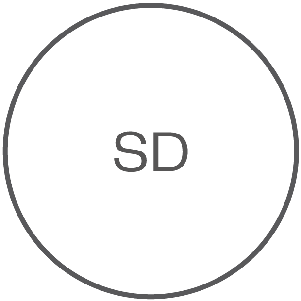 Icon SD